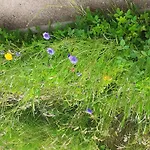 Sonnige In Laendlicher Umgebung By Interhome *